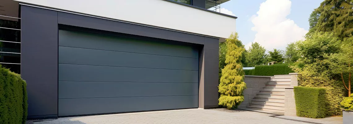 Haas Galvanized Steel Garage Door in The Hammocks